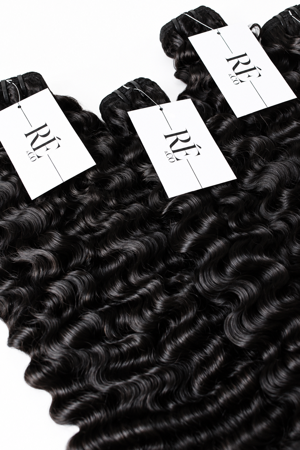 Burmese Curly