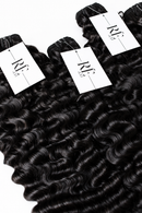 Burmese Curly