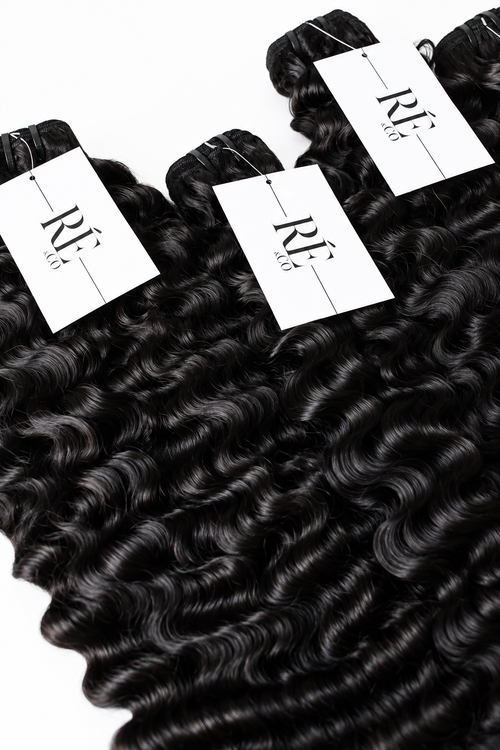 Burmese Curly