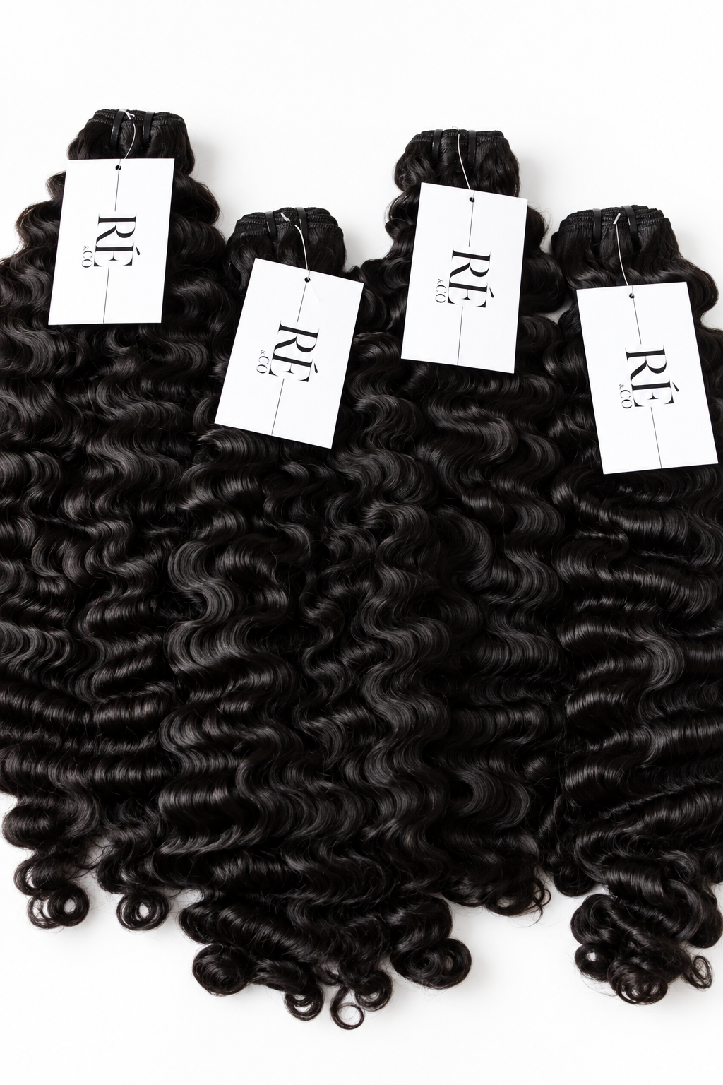 Burmese Curly