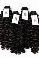 Burmese Curly